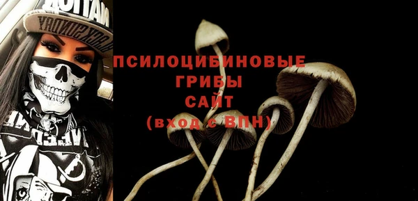 каннабис Беломорск
